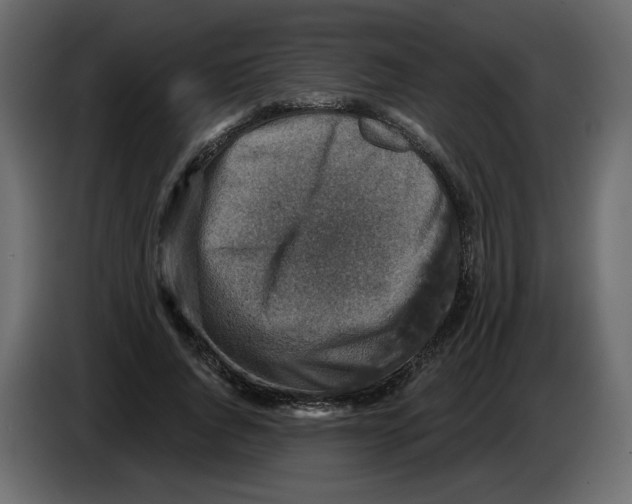 X0000084530736200703231652
