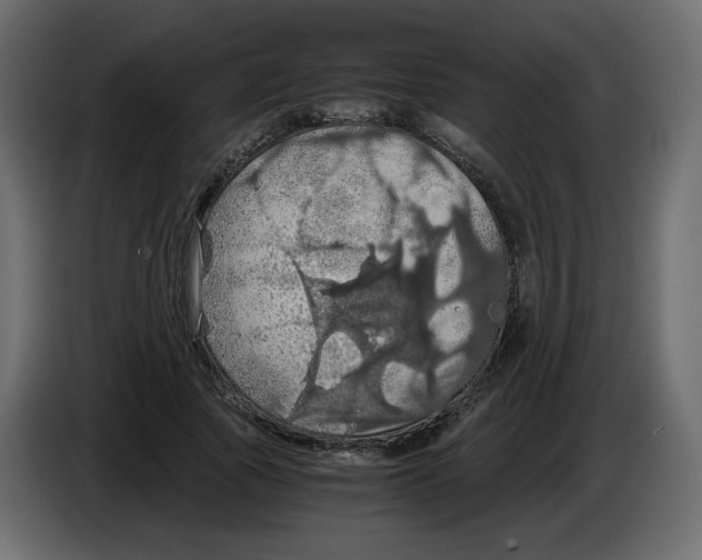 X0000084530737200703231652