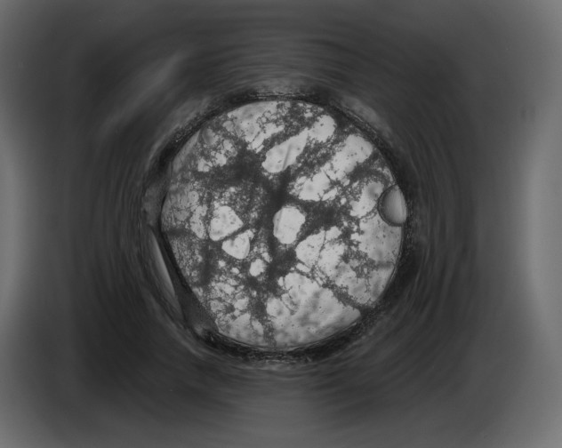 X0000084530738200703231652