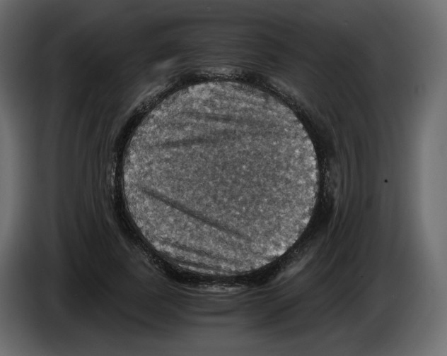 X0000084530739200703231652