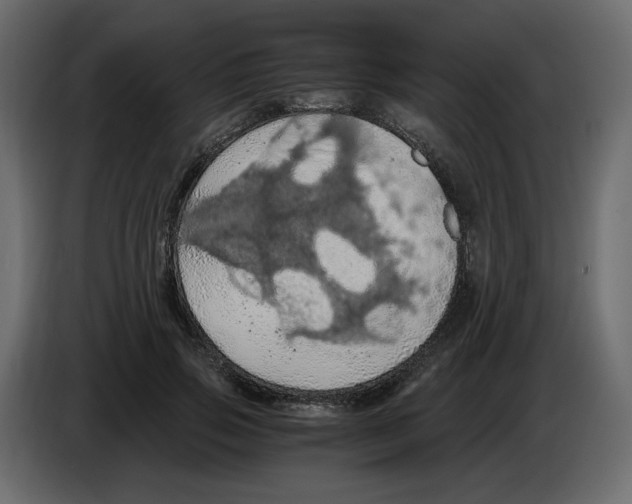X0000084530741200703231652