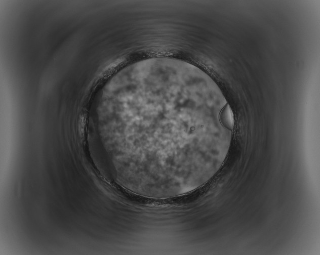 X0000084530742200703231652