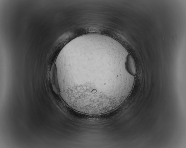 X0000084530744200703231652