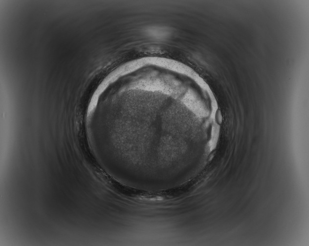X0000084530747200703231652