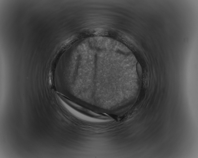 X0000084530748200703231652