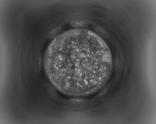 X0000084530749200703231652