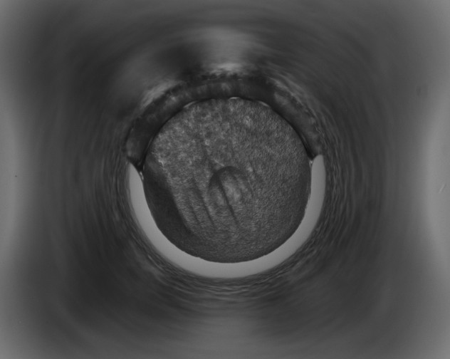 X0000084530750200703231652