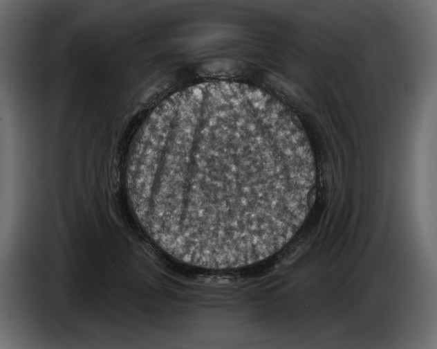 X0000084530751200703231652