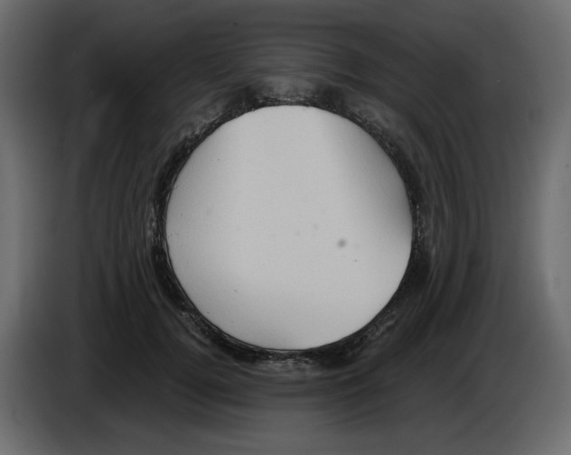 X0000084530752200703231652