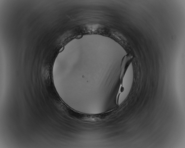 X0000084530754200703231652
