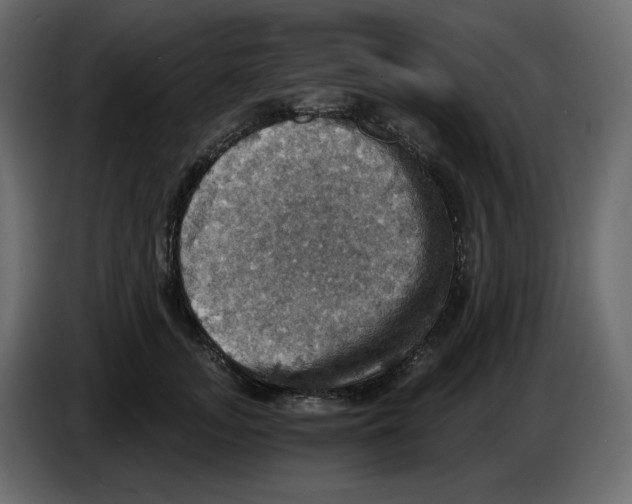 X0000084530755200703231652
