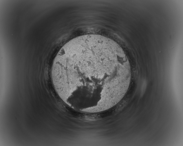 X0000084530757200703231652