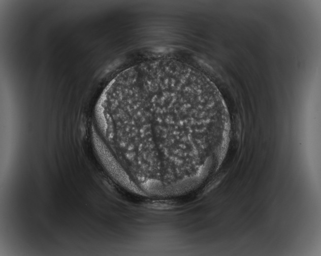 X0000084530758200703231652