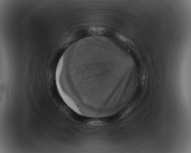 X0000084530759200703231652