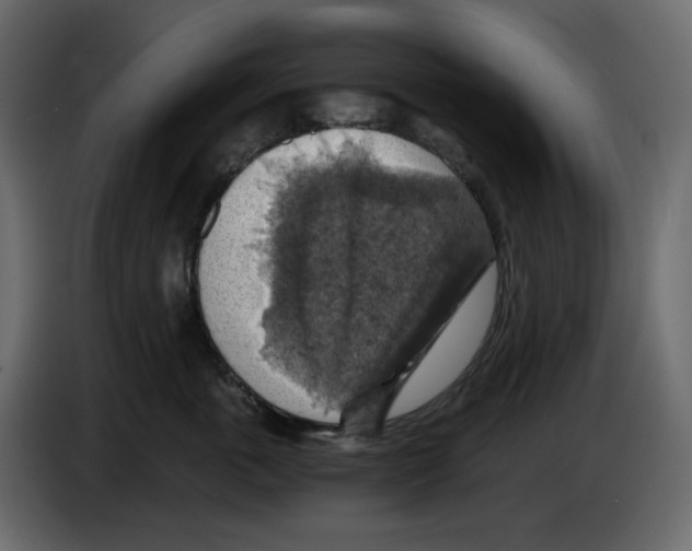 X0000084530763200703231652