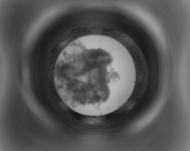 X0000084530765200703231652