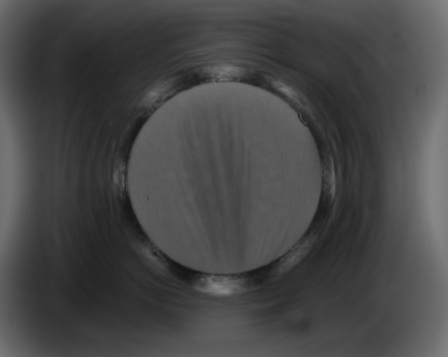 X0000084530766200703231652