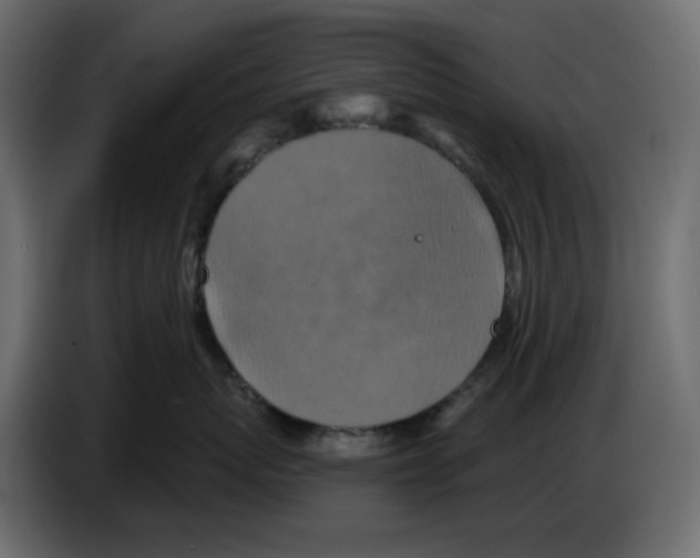 X0000084530767200703231652