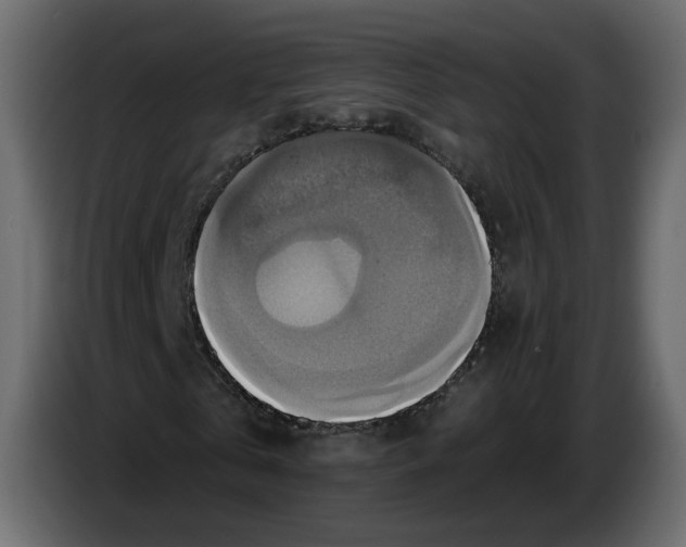 X0000084530769200703231652
