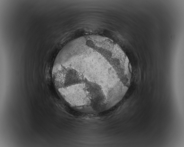 X0000084530770200703231652