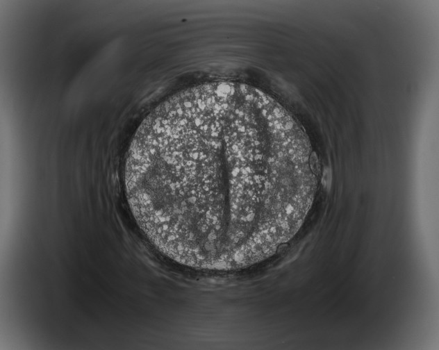 X0000084530771200703231652