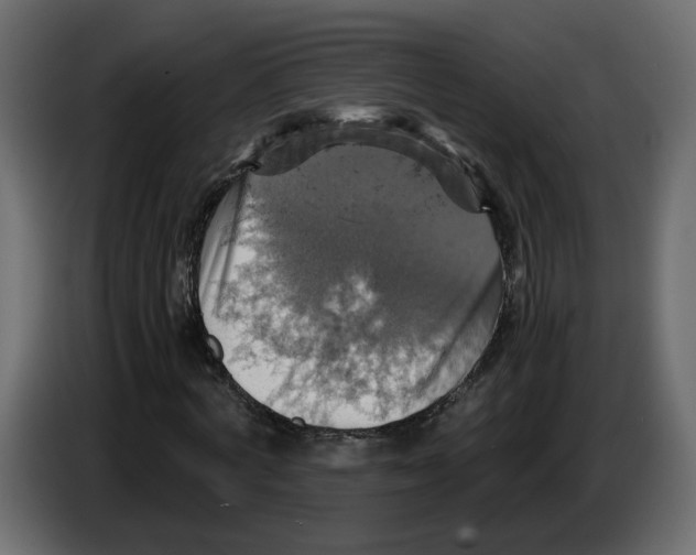 X0000084530772200703231652