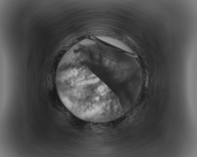 X0000084530774200703231651