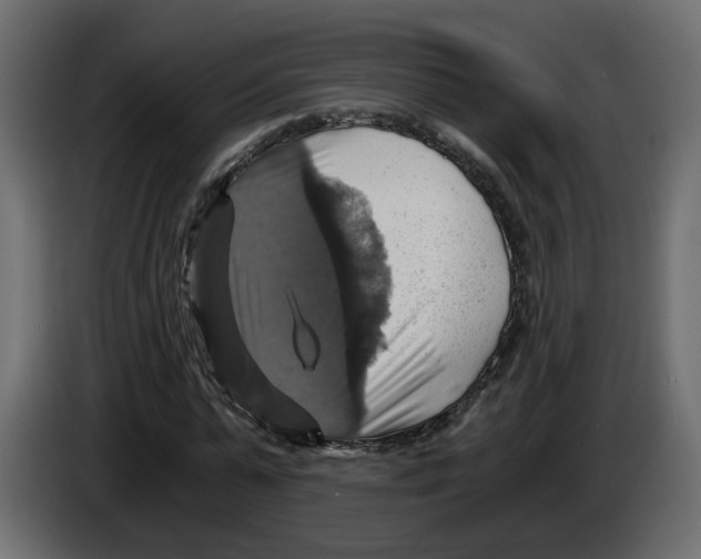 X0000084530775200703231651