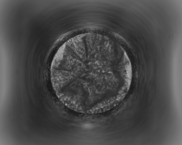 X0000084530776200703231651