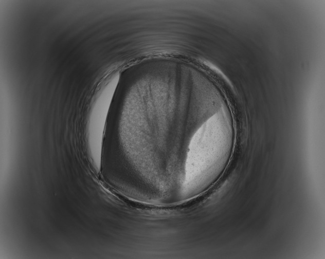 X0000084530777200703231651
