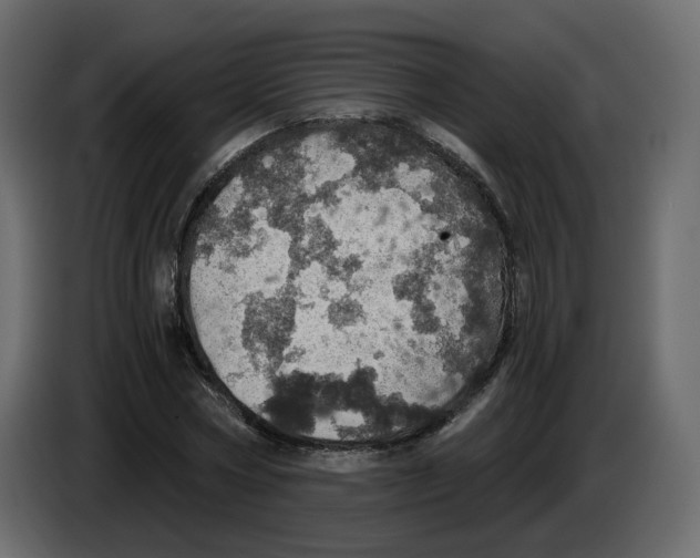 X0000084530778200703231651