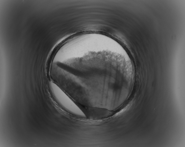 X0000084530779200703231651