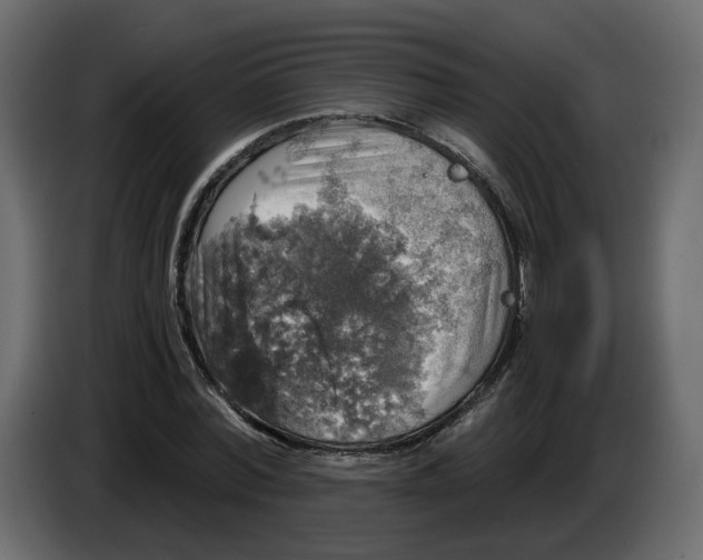 X0000084530780200703231651