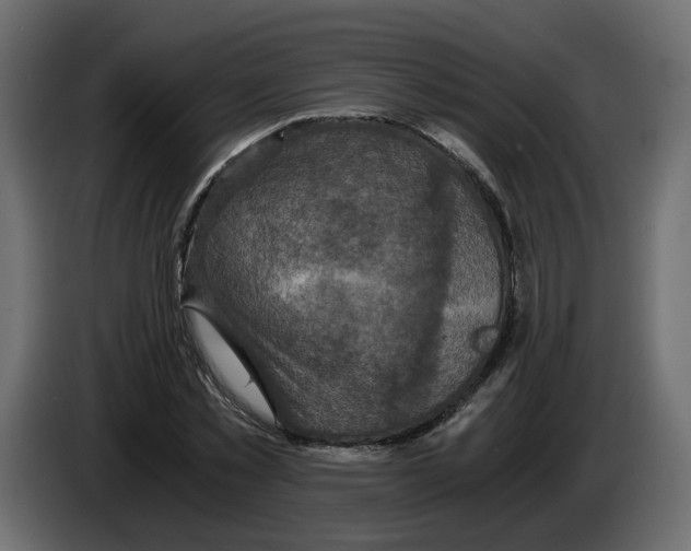 X0000084530781200703231651