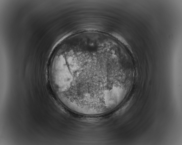 X0000084530782200703231651