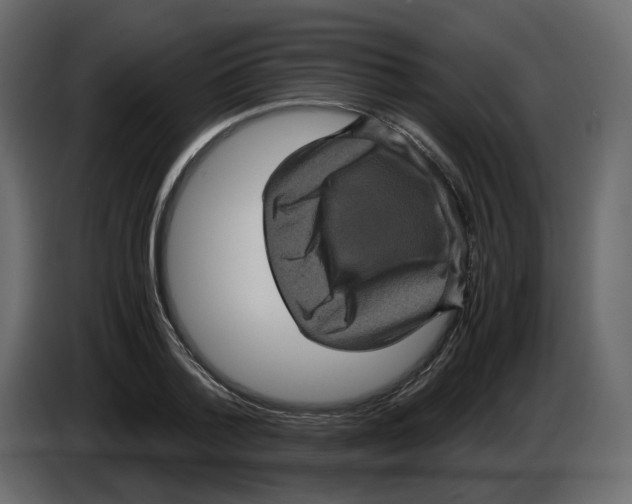 X0000084530788200703231651