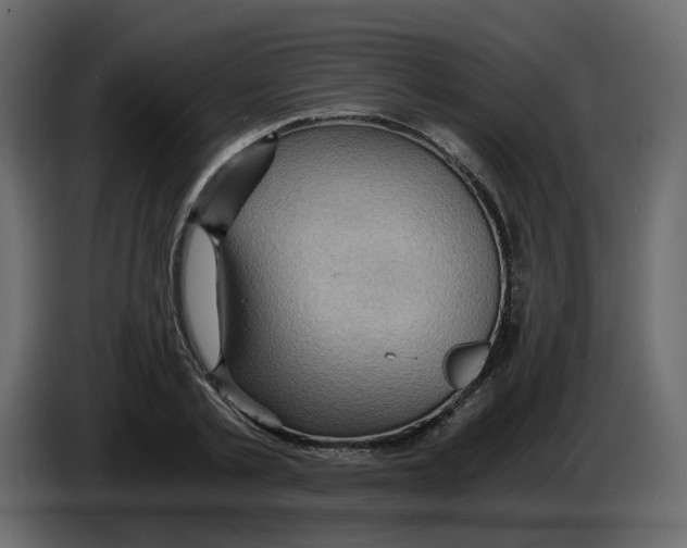 X0000084530789200703231651
