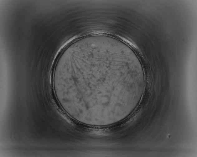 X0000084530790200703231651