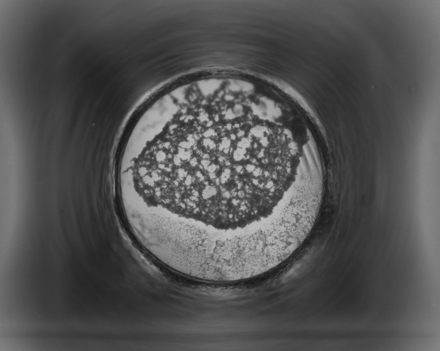 X0000084530791200703231651
