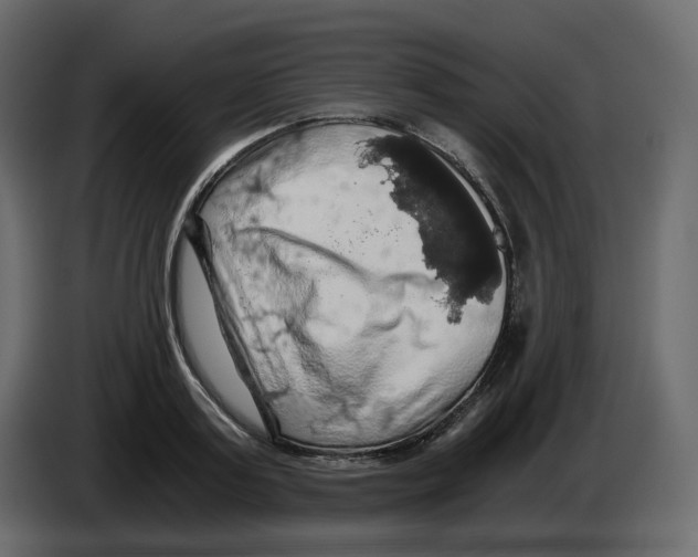 X0000084530795200703231651