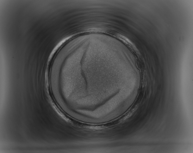 X0000084530796200703231651