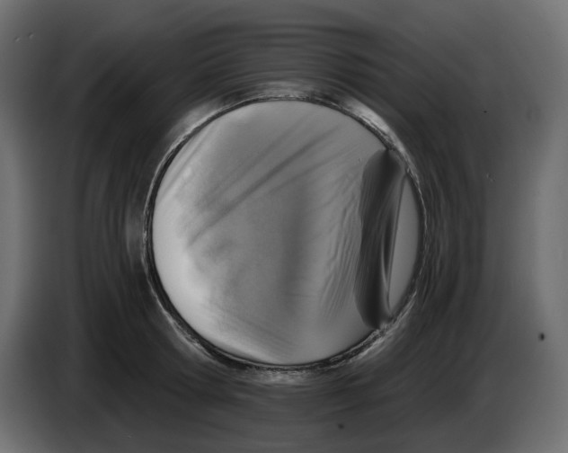 X0000084530802200703231651