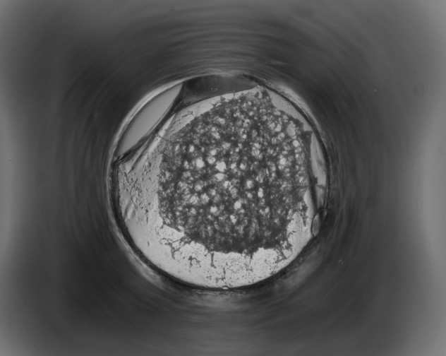 X0000084530803200703231651
