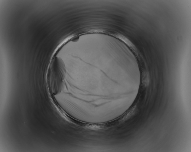 X0000084530806200703231651