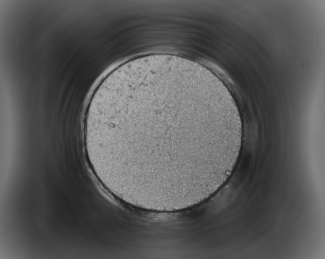 X0000084530808200703231651