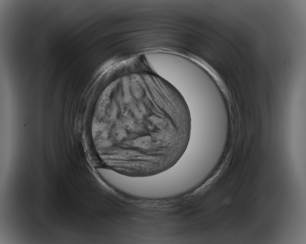X0000084530809200703231651
