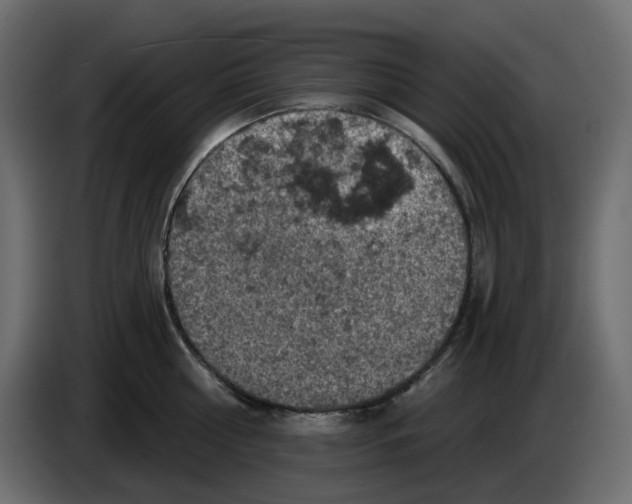 X0000084530810200703231651