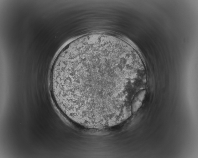 X0000084530811200703231651