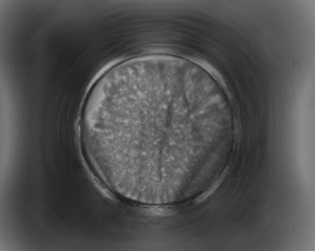 X0000084530814200703231651