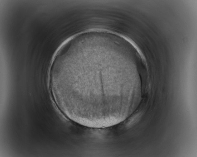 X0000084530815200703231651